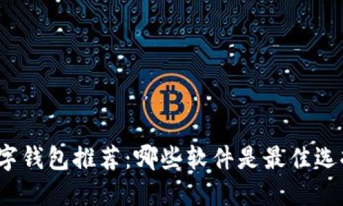 数字钱包推荐：哪些软件是最佳选择？