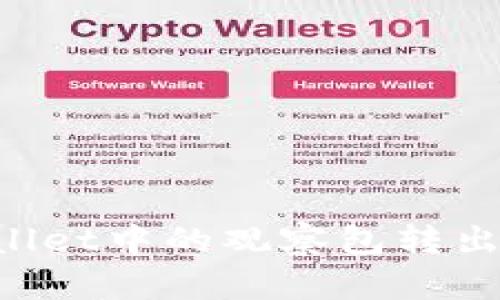 如何将tpWallet中的观察包转出来：详细指南