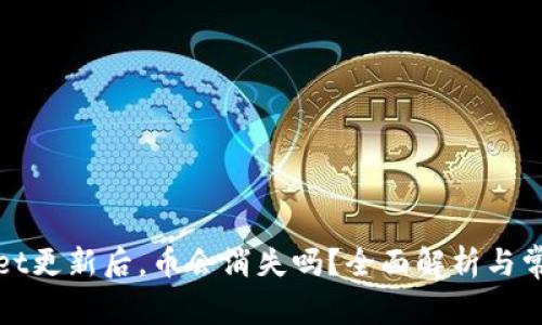 tpWallet更新后，币会消失吗？全面解析与常见问题