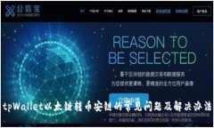 tpWallet以太链转币安链的常见问题及解决办法