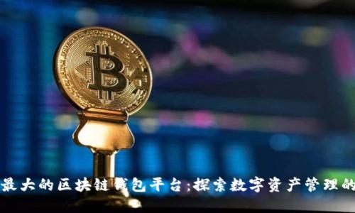 全球最大的区块链钱包平台：探索数字资产管理的未来