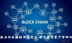 全球最大的区块链钱包平