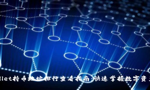 tpWallet持币地址排行查看指南：快速掌握数字资产分布