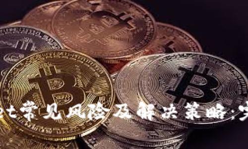 tpWallet常见风险及解决策略：完全指导