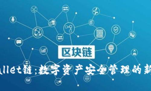 tpWallet链:数字资产安全管理的新选择