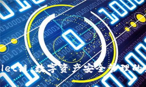 tpWallet链:数字资产安全管理的新选择