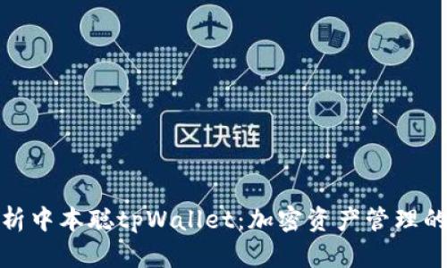 全面解析中本聪tpWallet：加密资产管理的新选择