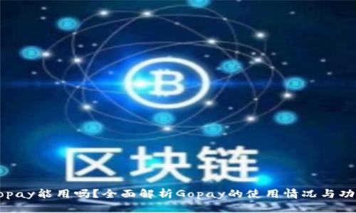 Gopay能用吗？全面解析Gopay的使用情况与功能