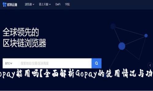 Gopay能用吗？全面解析Gopay的使用情况与功能