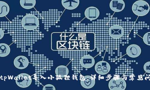 如何将tpWallet导入小狐狸钱包:详细步骤与常见问题解答