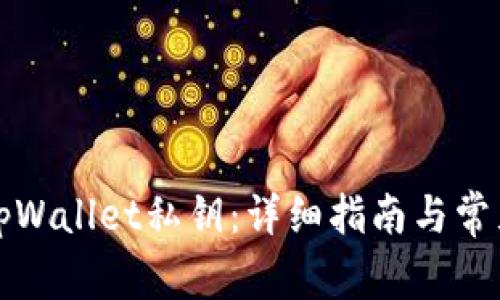 如何找回tpWallet私钥:详细指南与常见问题解答